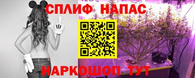 тгк Апшеронск