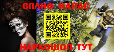 сатива Донецк