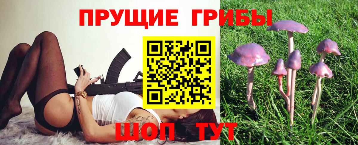 купить наркотики сайты  Вход с VPN  Галлюциногенные грибы MAGIC MUSHROOMS  Пенза  Галлюциногенные грибы мухоморы 