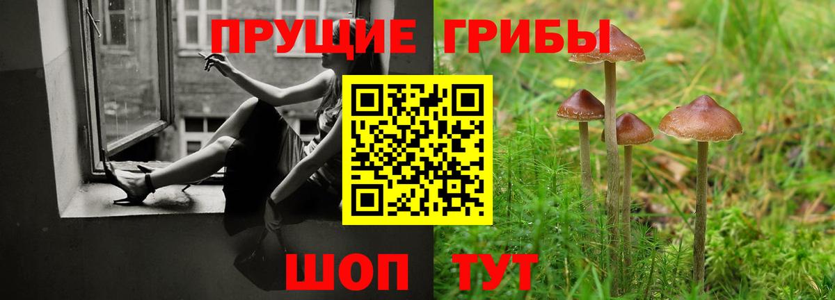 Галлюциногенные грибы ЛСД  Пенза  Псилоцибиновые грибы Psilocybine cubensis 